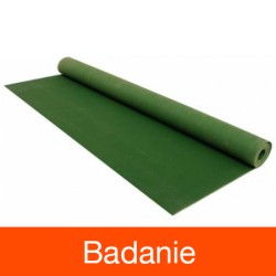 Badanie - Chodnik dielektryczny
